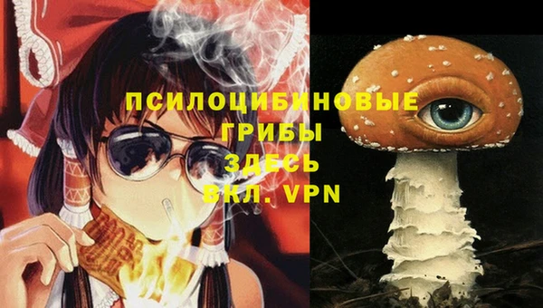 эйфоретик Бронницы